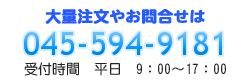 お問合せ　045-594-9181